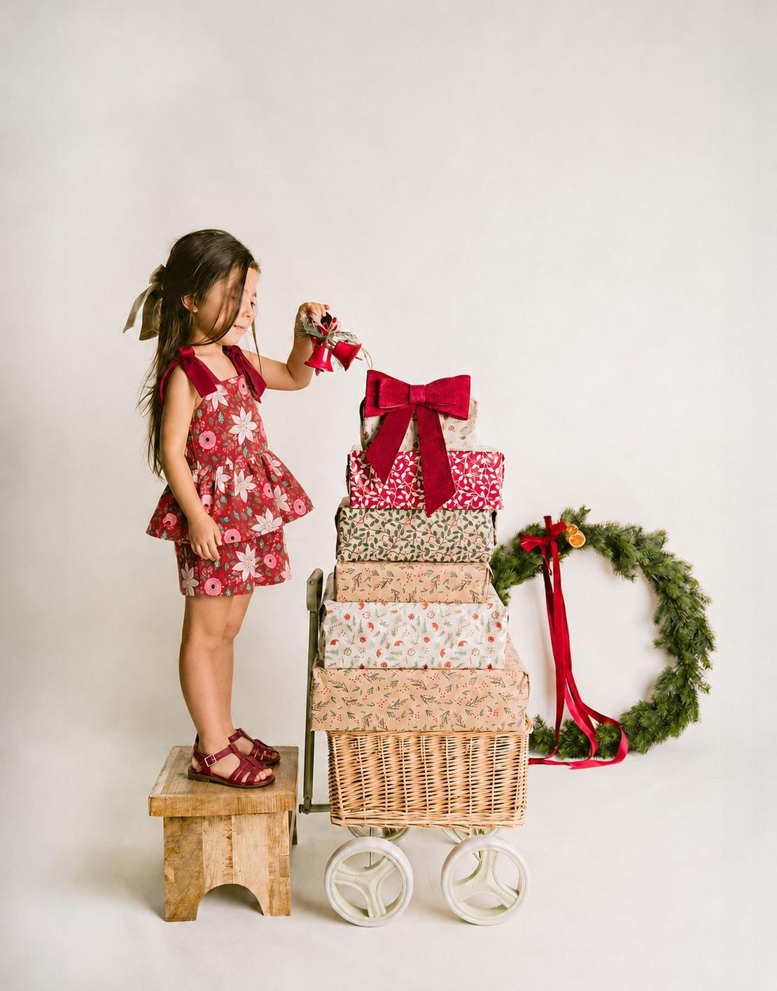 Poinsetta Christmas Set
